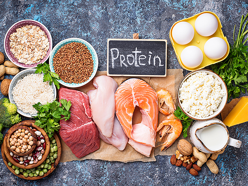 protein sources