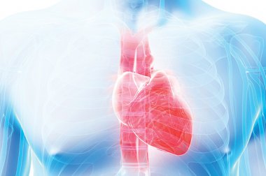 Skilled Heart Care Close to Home Skilled Heart Care Close to Home