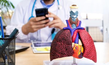 Escritorio de un profesional médico con una representación artificial de un pulmón.