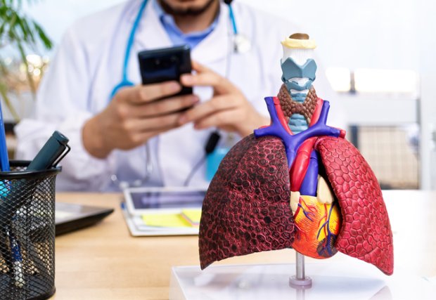 Escritorio de un profesional médico con una representación artificial de un pulmón.