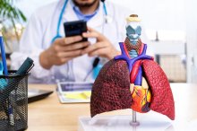 Medical professional's desk featuring an artificial representation of a lung