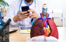 Medical professional's desk featuring an artificial representation of a lung